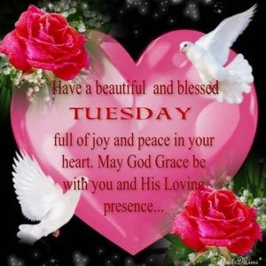 Meet your Posher, Fatou